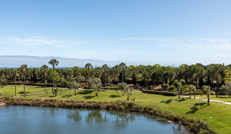 Emerald Retreat View